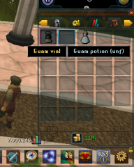 Bug