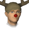 a Reindeer